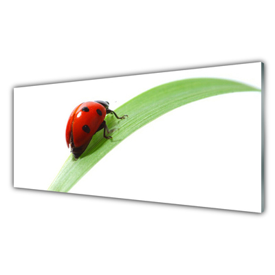 Staklena slika za zid Ladybug Leaf Priroda