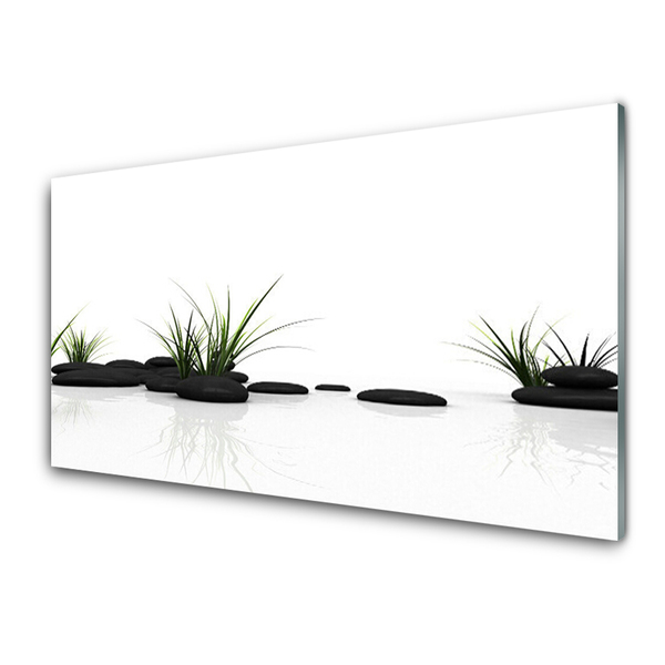 Staklena slika za zid Grass Mirror Water