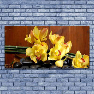Staklena slika za zid Cvjetna biljka orhideja
