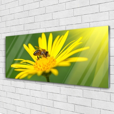 Fotografija na staklu Pčela Cvijet Priroda