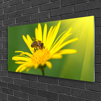 Fotografija na staklu Pčela Cvijet Priroda