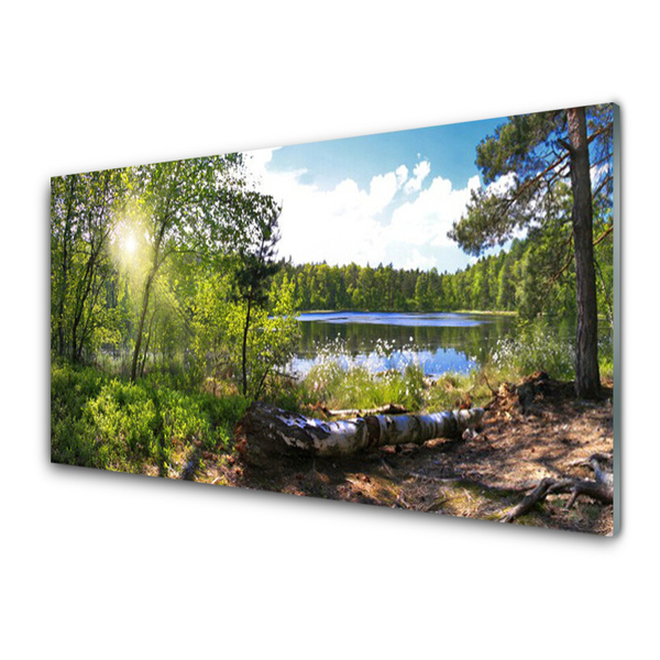 Staklena slika Šumsko drveće Jezero Priroda