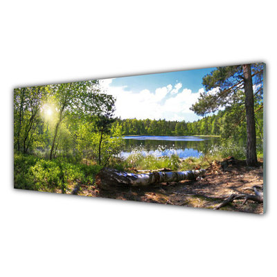 Staklena slika Šumsko drveće Jezero Priroda