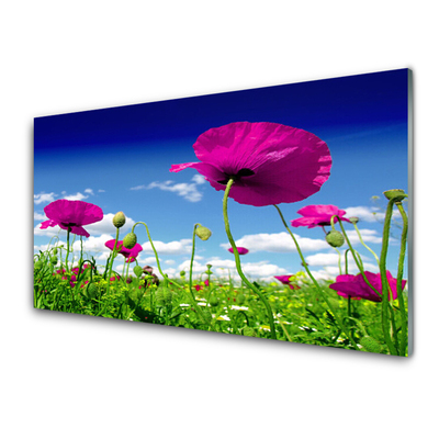 Staklena slika Livada Cvijeće Nebo Priroda