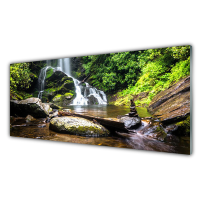 Staklena slika za zid Šumski vodopad Natura Potok