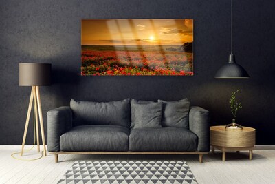 Fotografija na staklu Polje makova Livada zalaska sunca