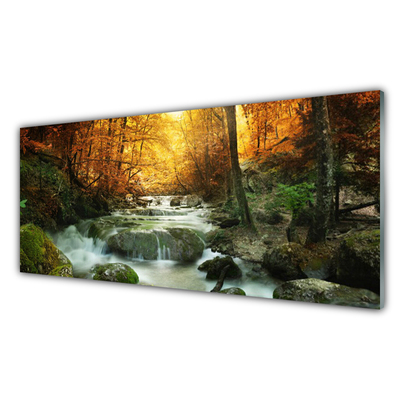 Staklena slika Vodopad Priroda Šuma Jesen