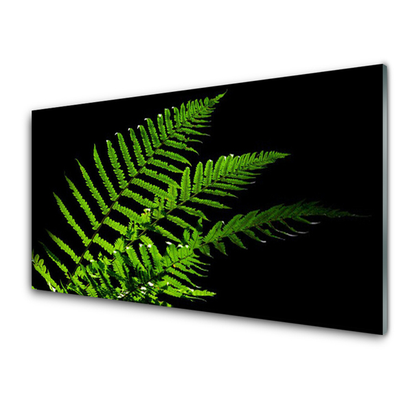 Staklena slika Fern Ferns Leaves