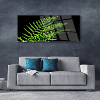 Staklena slika Fern Ferns Leaves