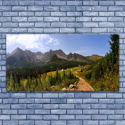 Staklena slika Hala Mountains Road Nature Meadow