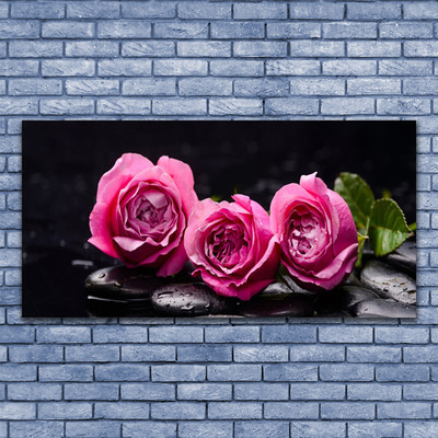 Staklena slika Roses Stones Zen Spa Priroda