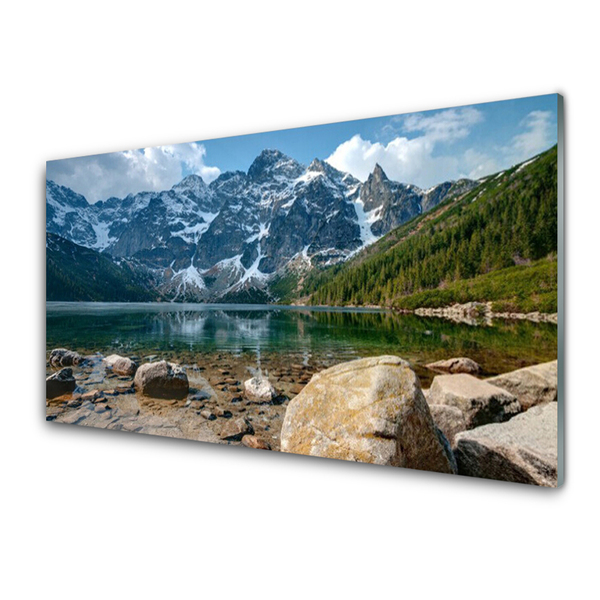 Staklena slika Planine Šumsko jezero Planine Tatre