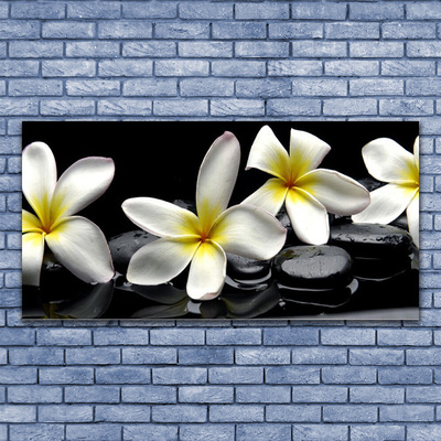 Fotografija na staklu Prekrasan cvijet Plumeria