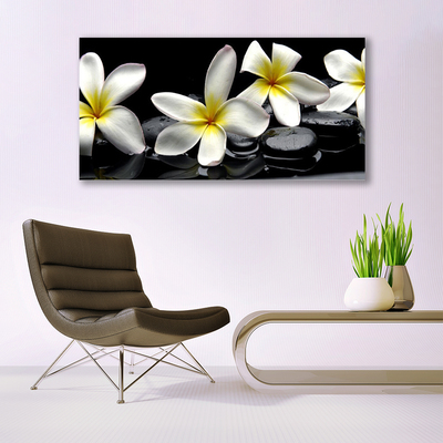 Fotografija na staklu Prekrasan cvijet Plumeria