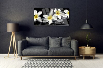 Fotografija na staklu Prekrasan cvijet Plumeria