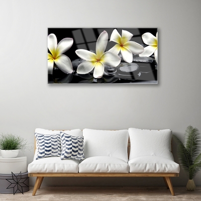 Fotografija na staklu Prekrasan cvijet Plumeria