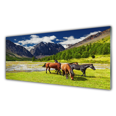 Staklena slika za zid Planine Drveće Konji Životinje