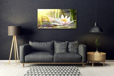 Staklena slika Cvijet vodenog ljiljana