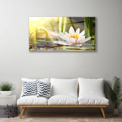 Staklena slika Cvijet vodenog ljiljana