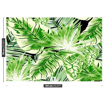 Zidna tapeta Monstera palma