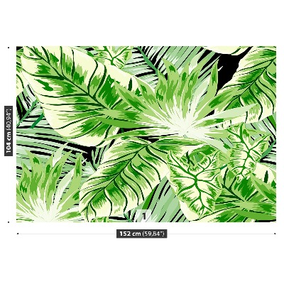 Zidna tapeta Monstera palma