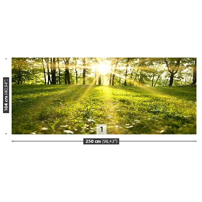 Zidna tapeta Šumsko sunce