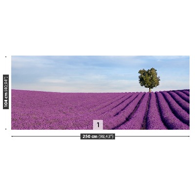Zidna tapeta Polje lavande