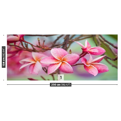 Zidna tapeta Ružičasti Frangipani