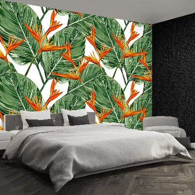 Zidna tapeta Strelitzia kraljevska