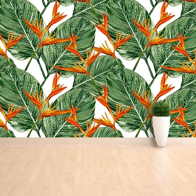 Zidna tapeta Strelitzia kraljevska