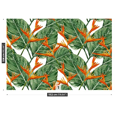 Zidna tapeta Strelitzia kraljevska