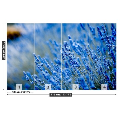 Foto tapeta Lavanda plava