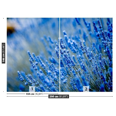 Foto tapeta Lavanda plava