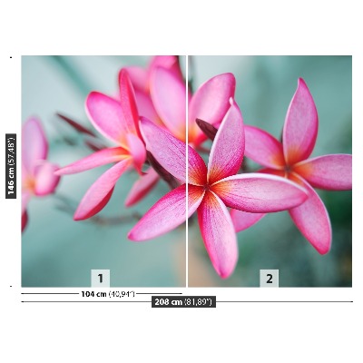 Foto tapeta Plumeria Pink