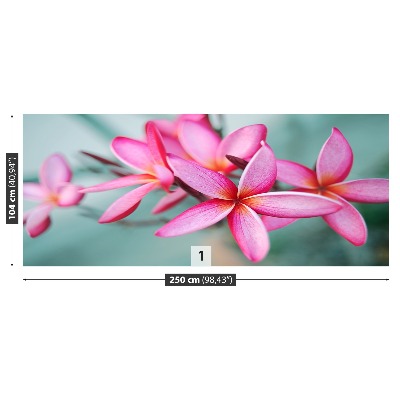 Foto tapeta Plumeria Pink