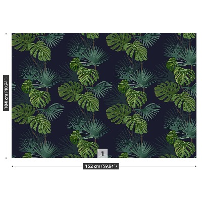 Foto tapeta Monstera s rupama