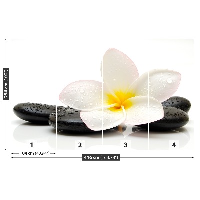 Zidna tapeta Plumeria Stones