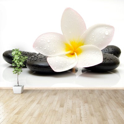 Zidna tapeta Plumeria Stones