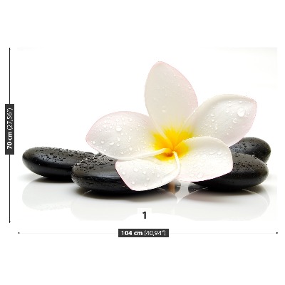 Zidna tapeta Plumeria Stones