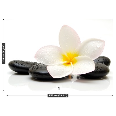 Zidna tapeta Plumeria Stones