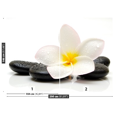 Zidna tapeta Plumeria Stones