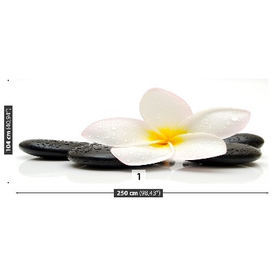 Zidna tapeta Plumeria Stones