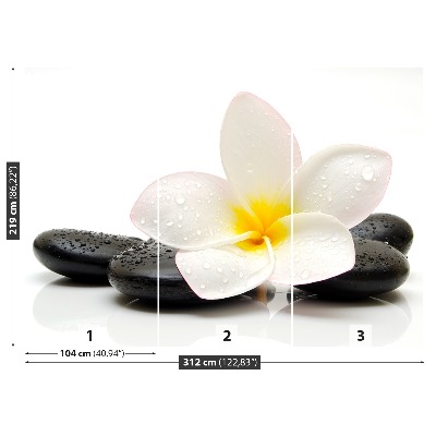 Zidna tapeta Plumeria Stones