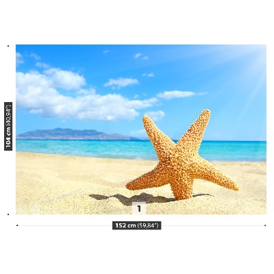 Zidna tapeta Plaža Starfish