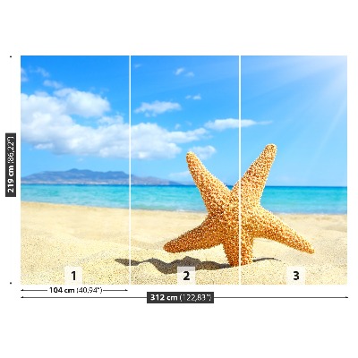 Zidna tapeta Plaža Starfish