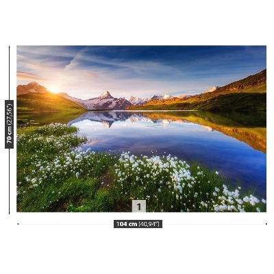 Foto tapeta Planina Schreckhorn