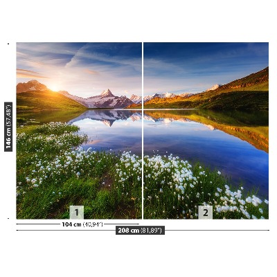 Foto tapeta Planina Schreckhorn