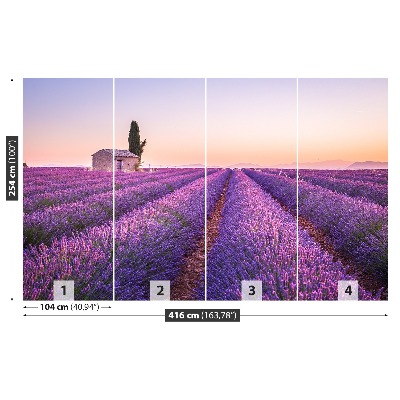 Foto tapeta Lavanda Provansa