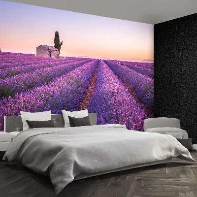 Foto tapeta Lavanda Provansa