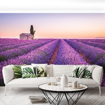 Foto tapeta Lavanda Provansa